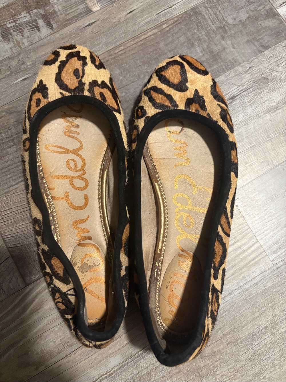 Sam Edelman Leopard Print Ballet Flats - Black and Tan